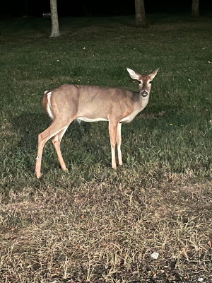 Loveland Trailside Boondock photo 2