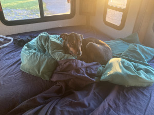 Woodland Seacoast RV Retreat - Photo 2