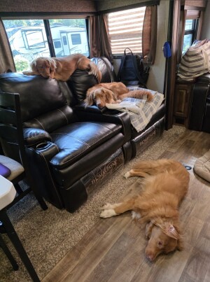 Boondocking host near Kingston, ON